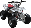 FancyScooters bike using this part: ATV517SF/CPSC: Peace Mini  Silver Sporty ATV (110cc Wider and Taller than ATV507S)  with Front hand/rear foot Brake