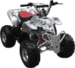 FancyScooters bike using this part: ATV517SF/CPSC: Peace Mini  Silver Sporty ATV (110cc Wider and Taller than ATV507S)  with Front hand/rear foot Brake