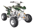 FancyScooters bike using this part: ATV110-CD-5C: Peace Dianosaur ATV (110cc Semi-automatic with reverse) Camouflage