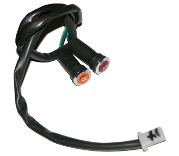 PART13086: Battery and Reversal Indicator for FH 150ccATV