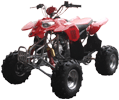 Peace Sporty ATV (12