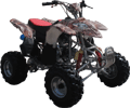 Peace Sporty ATV (12