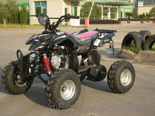Peace Mini Sporty ATV (110cc Wider and Taller than ATV507) with Front Hand/Rear Foot Brake