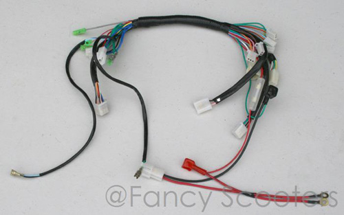 Whole Wire Harness for FF001