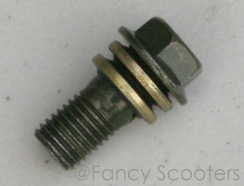 Hydraulic Brake Benjo Bolt (10mm) and Washer