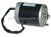 Electric Motor 350W3