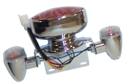 Tail light Set for GS-101 with 5 wires