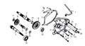 cf250cc_engine_Trans