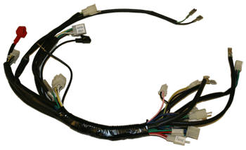 Whole Wire Harness for FB549 (X-19)